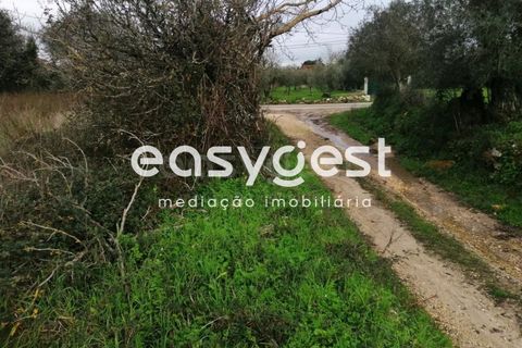 Helårsgrund i Condeixa-a-Nova, Coimbra, Condeixa-a-Nova - € 60.000 | Ref: RR91888 - foto 10
