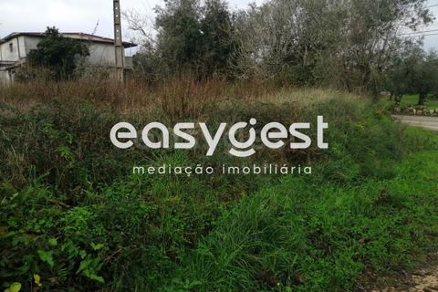 Helårsgrund i Condeixa-a-Nova, Coimbra, Condeixa-a-Nova - € 60.000 | Ref: RR91888 - foto 11