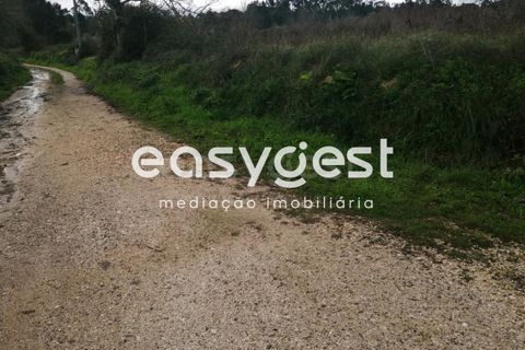 Helårsgrund i Condeixa-a-Nova, Coimbra, Condeixa-a-Nova - € 60.000 | Ref: RR91888 - foto 12