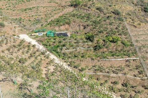 Finca i Torrox, Malaga, Torrox - € 450.000 | Ref: TCP215 - foto 15