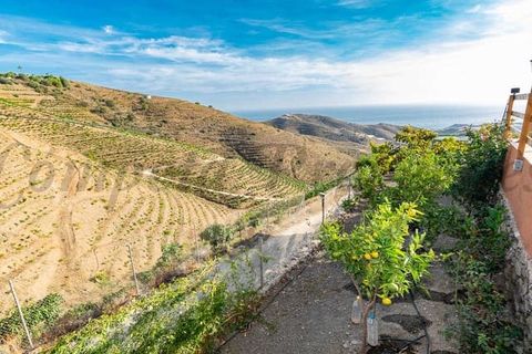 Finca i Torrox, Malaga, Torrox - € 450.000 | Ref: TCP215 - foto 19