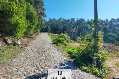 Helårsgrund i Penafiel, Porto, Penafiel - € 60.000 | Ref: TER_857 - foto 2