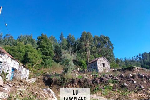 Helårsgrund i Penafiel, Porto, Penafiel - € 60.000 | Ref: TER_857 - foto 4