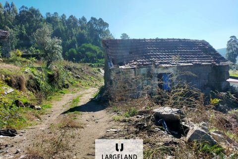 Helårsgrund i Penafiel, Porto, Penafiel - € 60.000 | Ref: TER_857 - foto 8