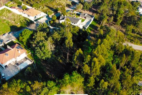 Terra a Pacos de Brandao, Aveiro, Pacos de Brandao - € 85.000 | Ref: PAR_1042 - foto 5