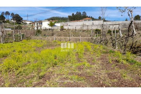Helårsgrund i Amarante, Porto, Amarante - € 46.000 | Ref: MC09486 - foto 5