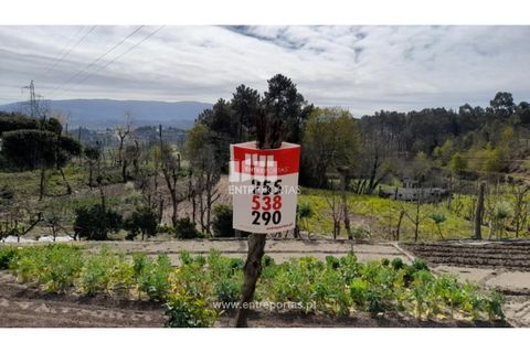 Helårsgrund i Amarante, Porto, Amarante - € 46.000 | Ref: MC09486 - foto 6