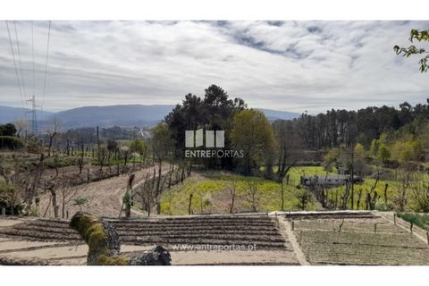Helårsgrund i Amarante, Porto, Amarante - € 46.000 | Ref: MC09486 - foto 7