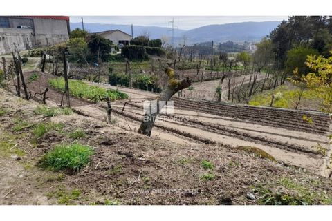 Helårsgrund i Amarante, Porto, Amarante - € 46.000 | Ref: MC09486 - foto 8