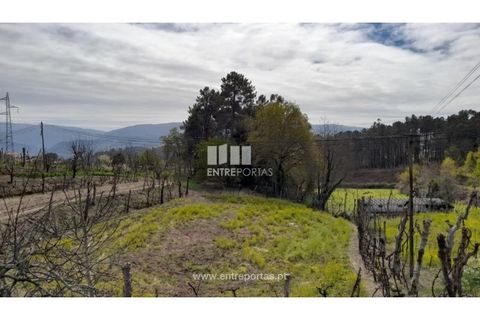Helårsgrund i Amarante, Porto, Amarante - € 46.000 | Ref: MC09486 - foto 10