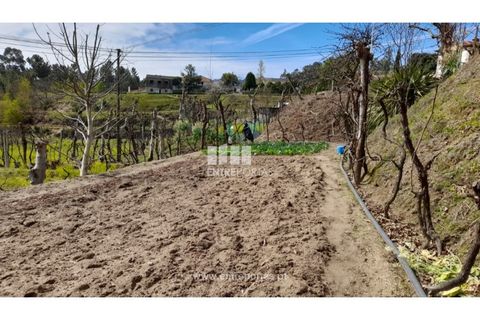 Helårsgrund i Amarante, Porto, Amarante - € 46.000 | Ref: MC09486 - foto 11