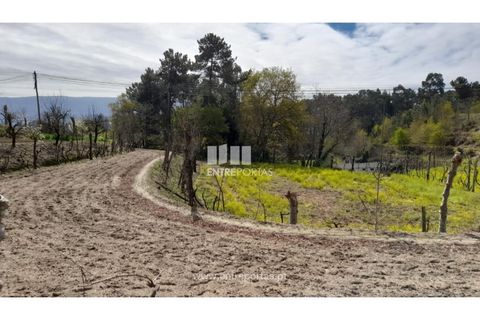 Helårsgrund i Amarante, Porto, Amarante - € 46.000 | Ref: MC09486 - foto 14