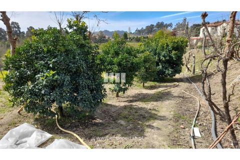 Helårsgrund i Amarante, Porto, Amarante - € 46.000 | Ref: MC09486 - foto 15