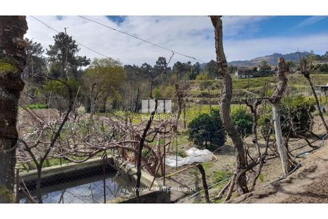 Helårsgrund i Amarante, Porto, Amarante - € 46.000 | Ref: MC09486 - foto 16
