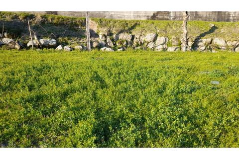 Helårsgrund i Amarante, Porto, Amarante - € 46.000 | Ref: MC09486 - foto 18