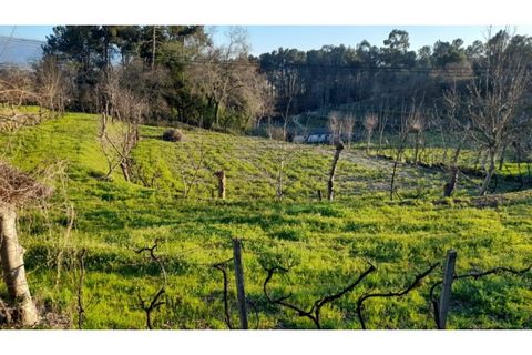 Helårsgrund i Amarante, Porto, Amarante - € 46.000 | Ref: MC09486 - foto 20
