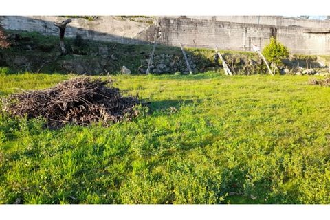 Helårsgrund i Amarante, Porto, Amarante - € 46.000 | Ref: MC09486 - foto 21