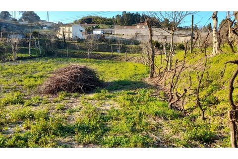 Helårsgrund i Amarante, Porto, Amarante - € 46.000 | Ref: MC09486 - foto 24