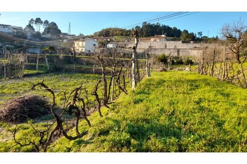 Helårsgrund i Amarante, Porto, Amarante - € 46.000 | Ref: MC09486 - foto 25