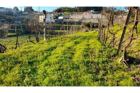 Helårsgrund i Amarante, Porto, Amarante - € 46.000 | Ref: MC09486 - foto 28