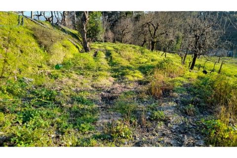 Helårsgrund i Amarante, Porto, Amarante - € 46.000 | Ref: MC09486 - foto 30