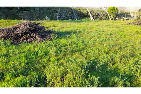 Helårsgrund i Amarante, Porto, Amarante - € 46.000 | Ref: MC09486 - foto 31