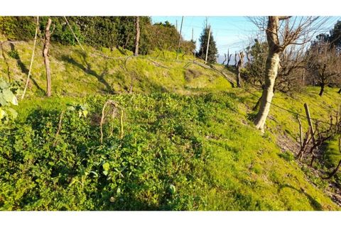 Helårsgrund i Amarante, Porto, Amarante - € 46.000 | Ref: MC09486 - foto 32