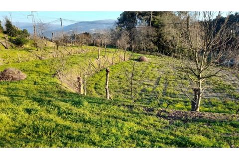 Helårsgrund i Amarante, Porto, Amarante - € 46.000 | Ref: MC09486 - foto 33