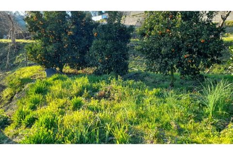 Helårsgrund i Amarante, Porto, Amarante - € 46.000 | Ref: MC09486 - foto 35