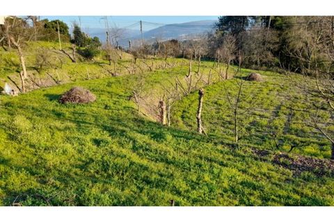 Helårsgrund i Amarante, Porto, Amarante - € 46.000 | Ref: MC09486 - foto 36
