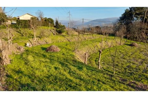 Helårsgrund i Amarante, Porto, Amarante - € 46.000 | Ref: MC09486 - foto 38