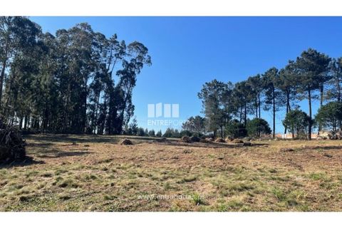 Helårsgrund i Barcelos, Braga, Barcelos - € 110.000 | Ref: VCC14020 - foto 7