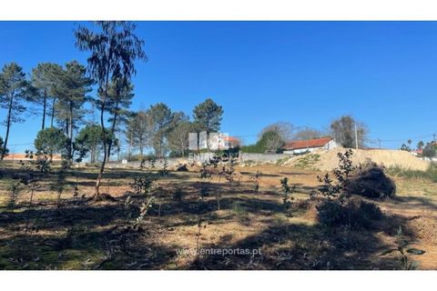 Helårsgrund i Barcelos, Braga, Barcelos - € 110.000 | Ref: VCC14020 - foto 11