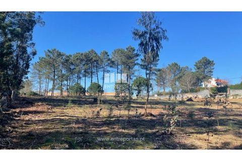 Helårsgrund i Barcelos, Braga, Barcelos - € 110.000 | Ref: VCC14020 - foto 13