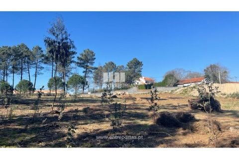 Helårsgrund i Barcelos, Braga, Barcelos - € 110.000 | Ref: VCC14020 - foto 14