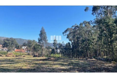 Helårsgrund i Barcelos, Braga, Barcelos - € 110.000 | Ref: VCC14020 - foto 23