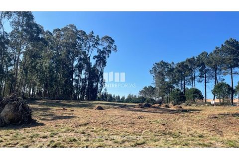 Helårsgrund i Barcelos, Braga, Barcelos - € 110.000 | Ref: VCC14020 - foto 24