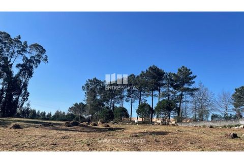 Helårsgrund i Barcelos, Braga, Barcelos - € 110.000 | Ref: VCC14020 - foto 26