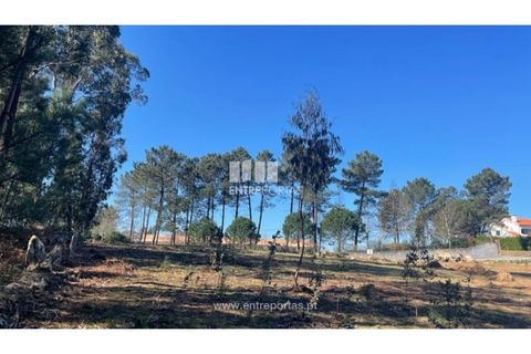 Helårsgrund i Barcelos, Braga, Barcelos - € 110.000 | Ref: VCC14020 - foto 30