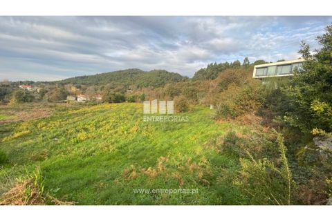 Terra a Areosa, Viana do Castelo, Areosa - € 495.000 | Ref: VCM13797(1) - foto 3