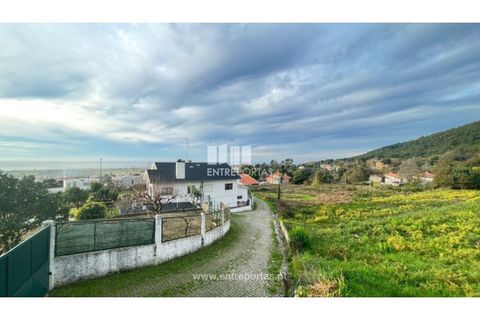 Terra a Areosa, Viana do Castelo, Areosa - € 495.000 | Ref: VCM13797(1) - foto 11