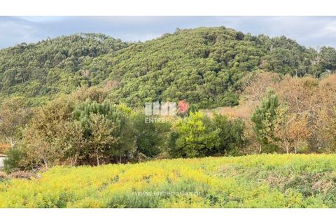 Terra a Areosa, Viana do Castelo, Areosa - € 495.000 | Ref: VCM13797(1) - foto 14