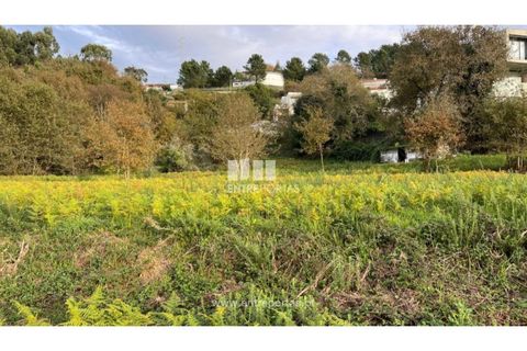 Terra a Areosa, Viana do Castelo, Areosa - € 495.000 | Ref: VCM13797(1) - foto 15