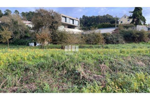 Terra a Areosa, Viana do Castelo, Areosa - € 495.000 | Ref: VCM13797(1) - foto 16