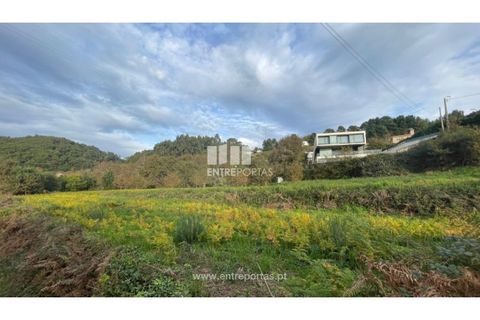 Terra a Areosa, Viana do Castelo, Areosa - € 495.000 | Ref: VCM13797(1) - foto 22