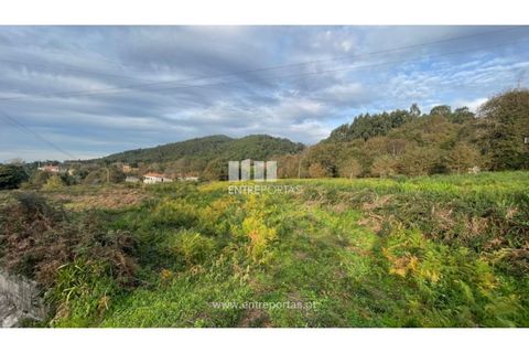 Terra a Areosa, Viana do Castelo, Areosa - € 495.000 | Ref: VCM13797(1) - foto 24