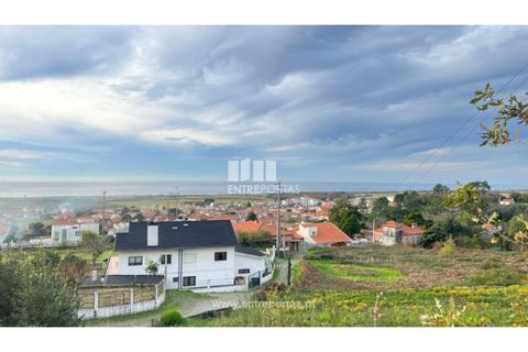 Terra a Areosa, Viana do Castelo, Areosa - € 495.000 | Ref: VCM13797(1) - foto 28