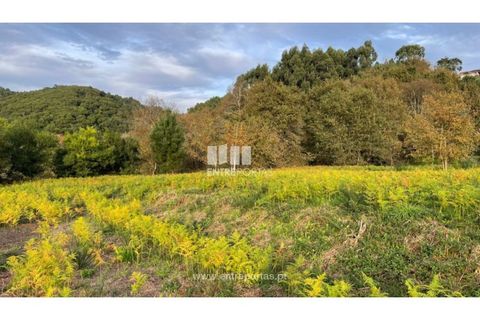 Terra a Areosa, Viana do Castelo, Areosa - € 495.000 | Ref: VCM13797(1) - foto 30
