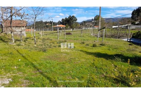 Helårsgrund i Amarante, Porto, Amarante - € 85.000 | Ref: MC09483 - foto 6
