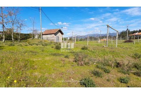 Helårsgrund i Amarante, Porto, Amarante - € 85.000 | Ref: MC09483 - foto 13